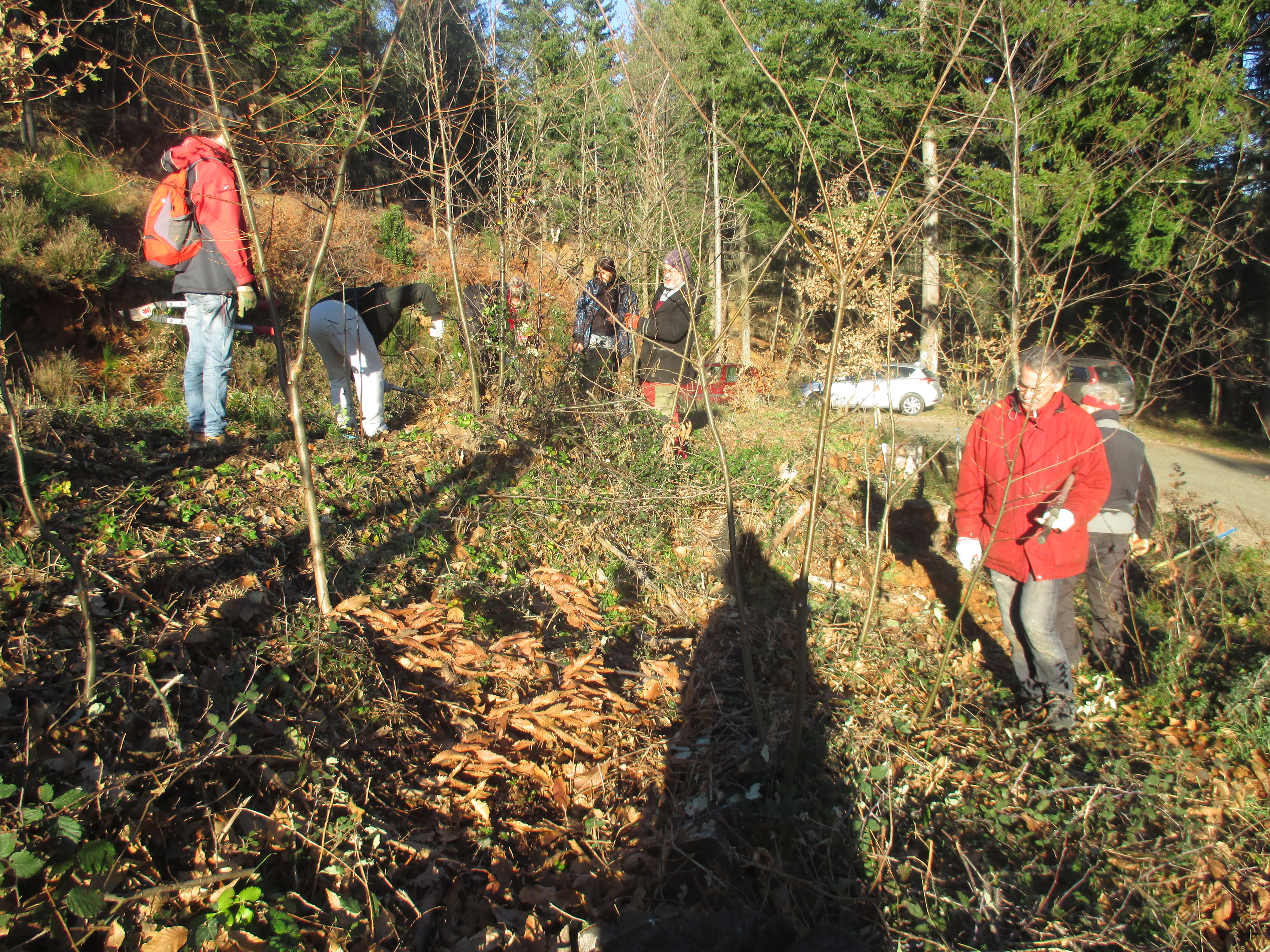 image Copie de Chantier forestier participatif à Soustelle