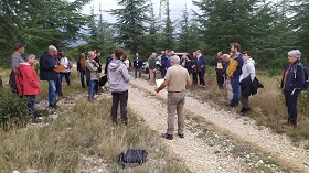 vignette Retour d'expérience sur des plantations de garrigue