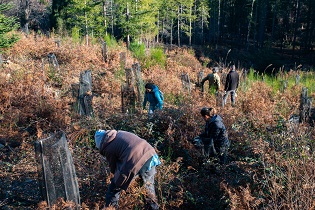 vignette Dernier chantier participatif  de la saison