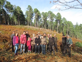 vignette Chantiers forestiers participatifs