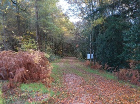 vignette Statuts des voies et chemins en milieu rural